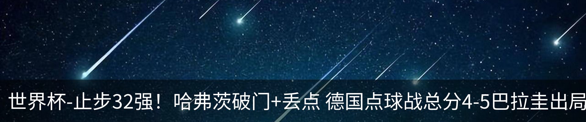 新闻动态