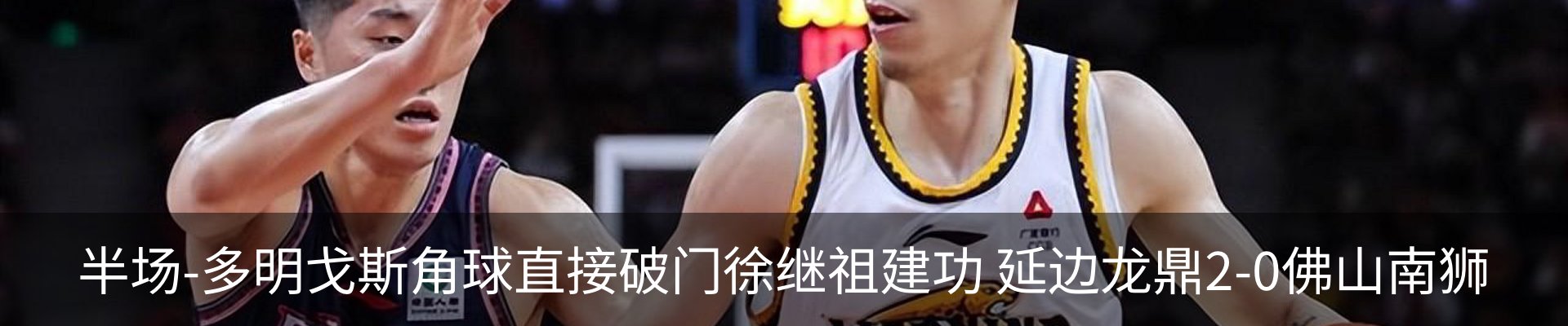 新闻动态