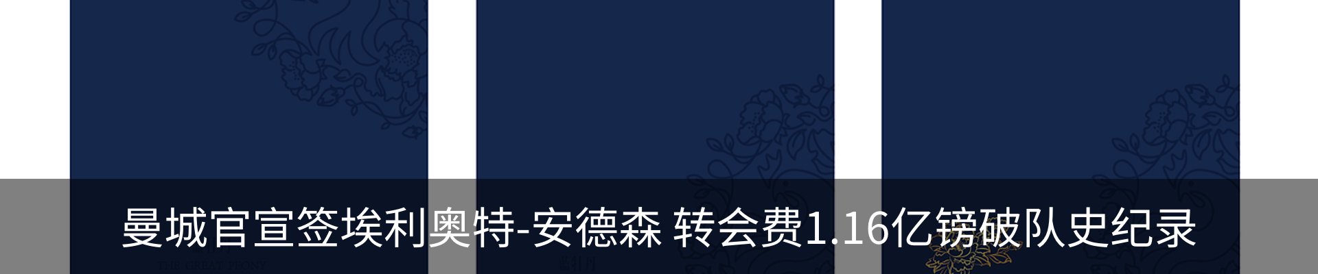 新闻动态
