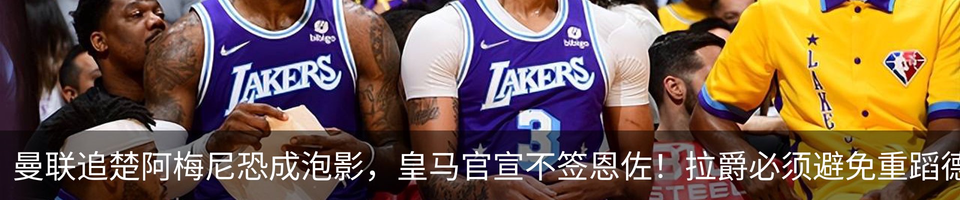 新闻动态