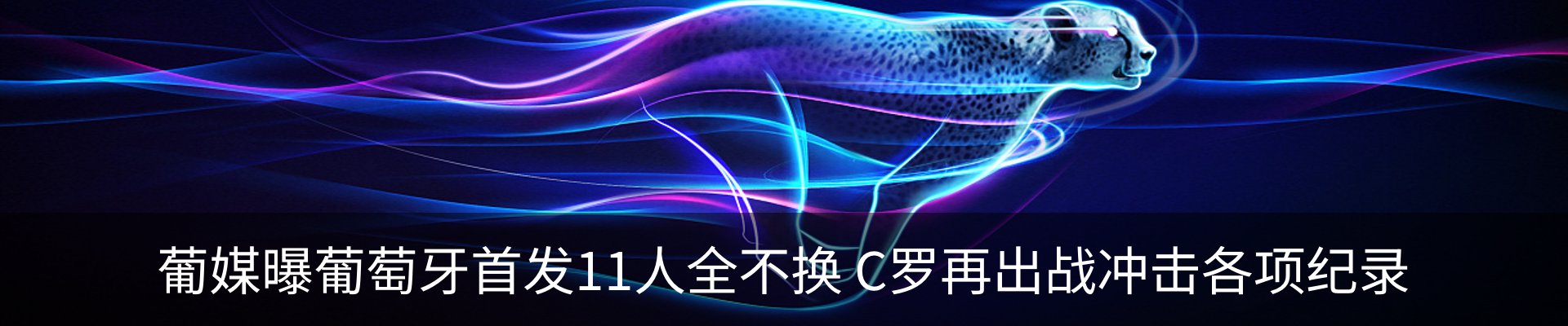 新闻动态