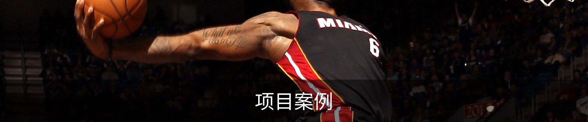 项目案例
